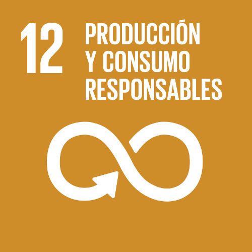 SDG 12
