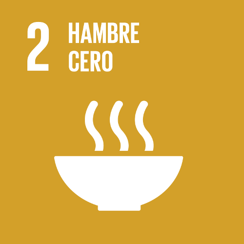 SDG 2