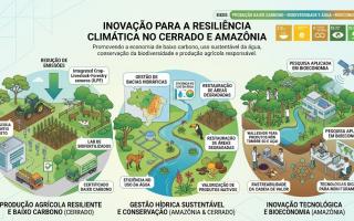 Inovação para a Resiliência Climática no Cerrado e Amazônia